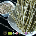 Manufacturer and exporter for organic lentil pasta/fettuccine rich in vitamin